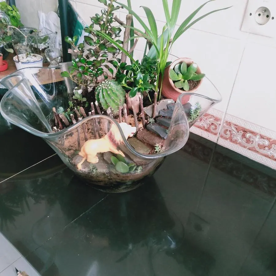 Appartement Partage Situee A Peu Pres Dix Minutes De La Plage Casablanca Morocco